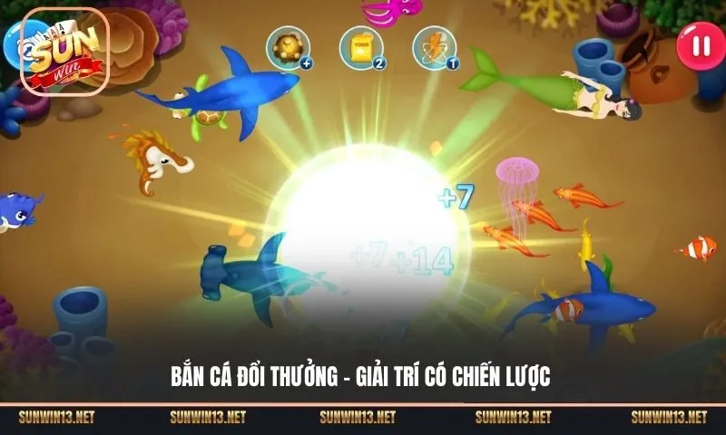 ban ca doi thuong 1 Sunwin