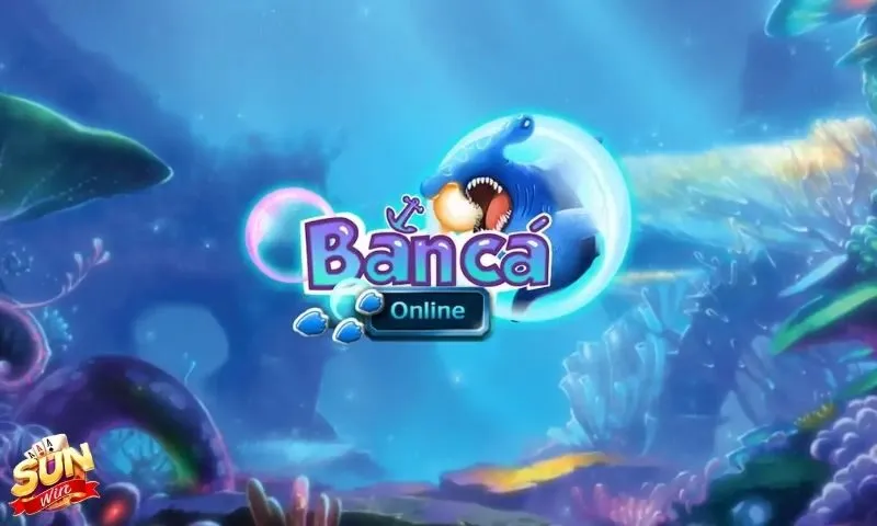 Bản đồ đại dương: Nhận diện mục tiêu