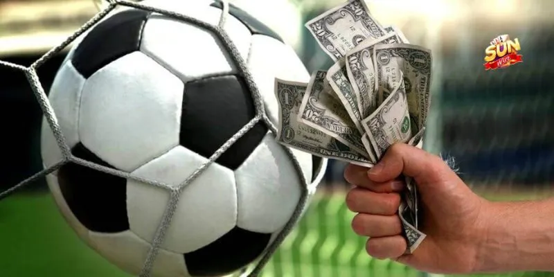 Các lưu ý khi chuyển từ thành viên sang đại lý